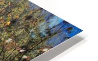 The Original Alexandra Bridge HD Metal print
