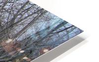 Dale's Antique Beach HD Metal print
