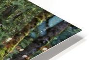 Fairy Tale Cabin HD Metal print