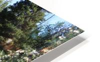 Chilcotin Homestead HD Metal print