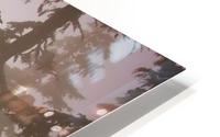 Cabin Fever HD Metal print