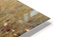 Pothole Ranch  HD Metal print