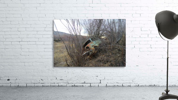 Dale's Antique Beach Wall Preview