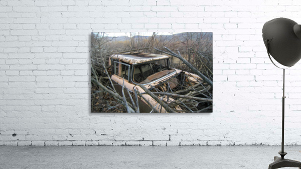 Dale's Antique Beach Wall Preview