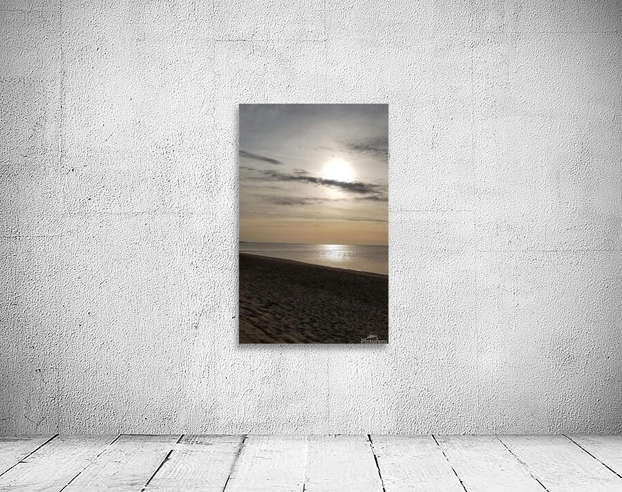 facebook 1659052387052 6958570063229877592 Wall Preview