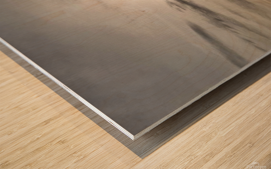 facebook 1659052387052 6958570063229877592 Wood print