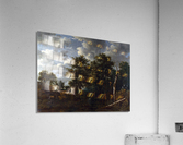 A Pool surrounded by Trees Acrylic Print