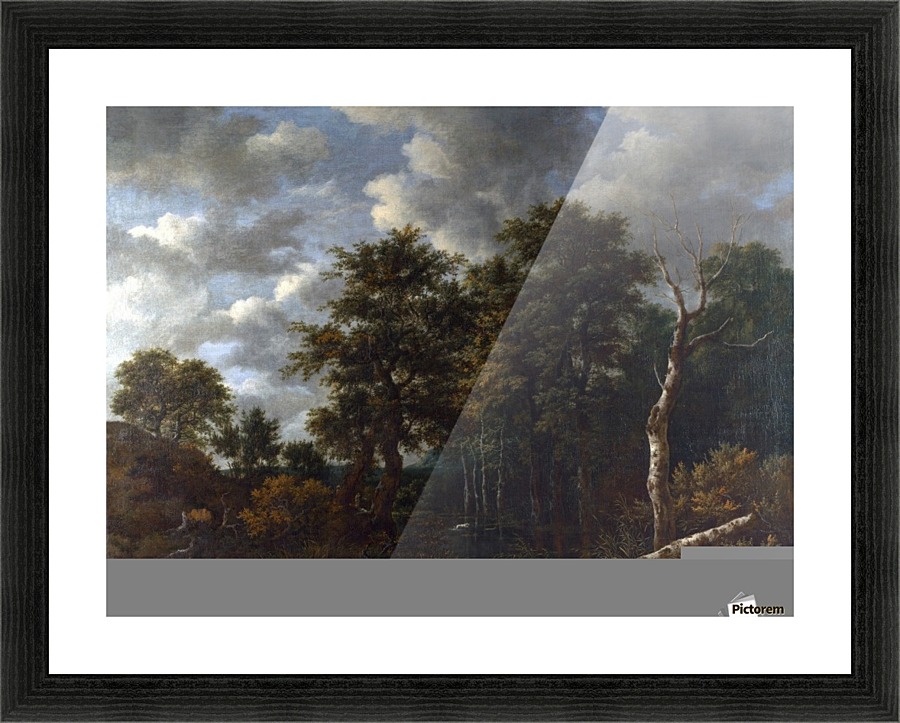 A Pool surrounded by Trees Picture Frame print