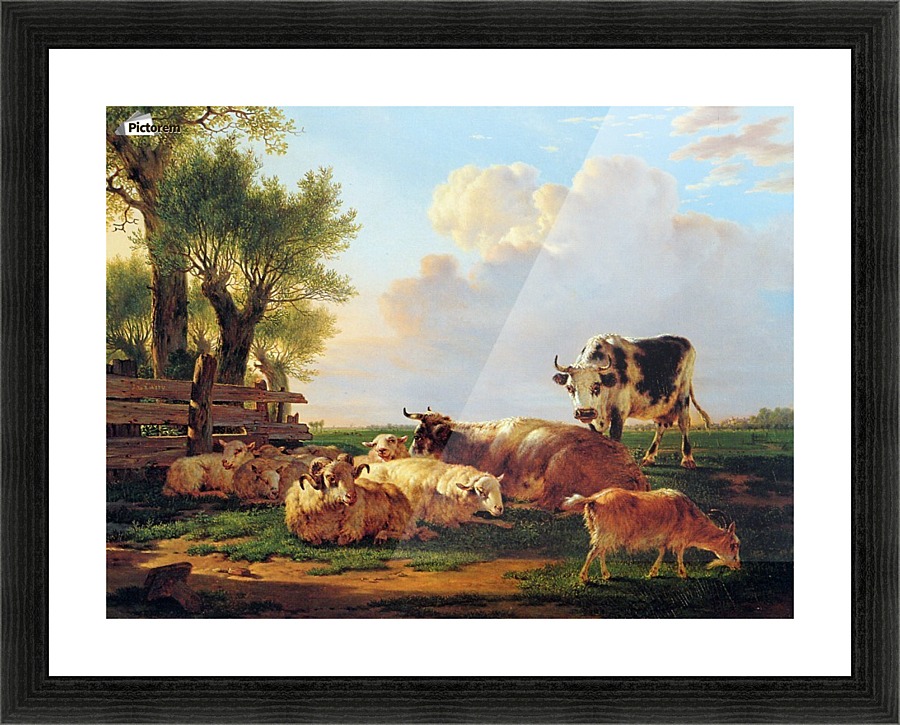 Meadow with cattle Picture Frame print