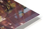 Stil life HD Metal print