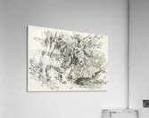Graphite Drawing Acrylic Print