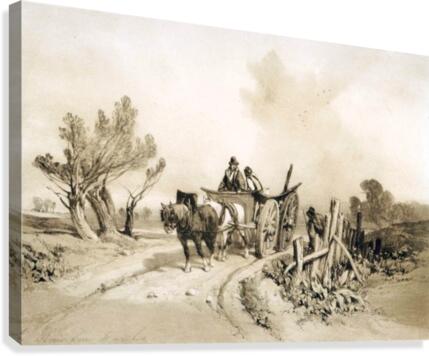 In Barnham Marshes Canvas Print