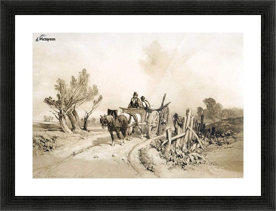 In Barnham Marshes Picture Frame print