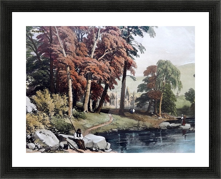 Black Poplar Tree Picture Frame print