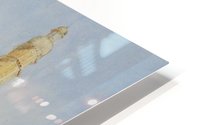 Vicenza HD Metal print