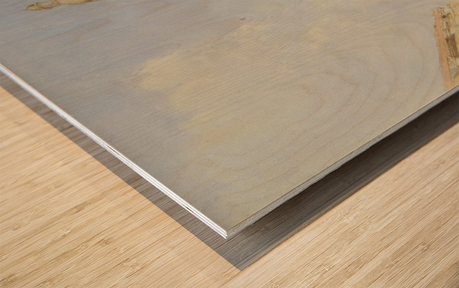 Vicenza Wood print