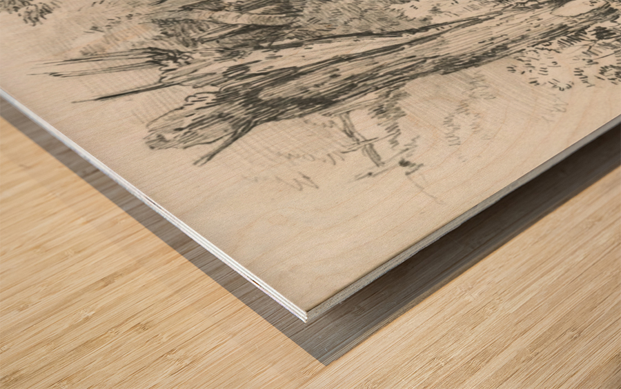 Graphite Drawing Wood print