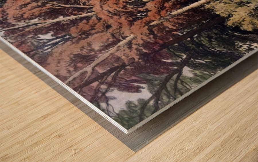 Black Poplar Tree Wood print