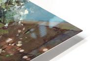The back garden HD Metal print