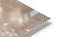 Haarlemmer Meer HD Metal print
