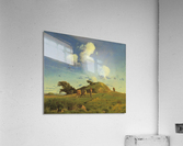 Hankehoj Acrylic Print