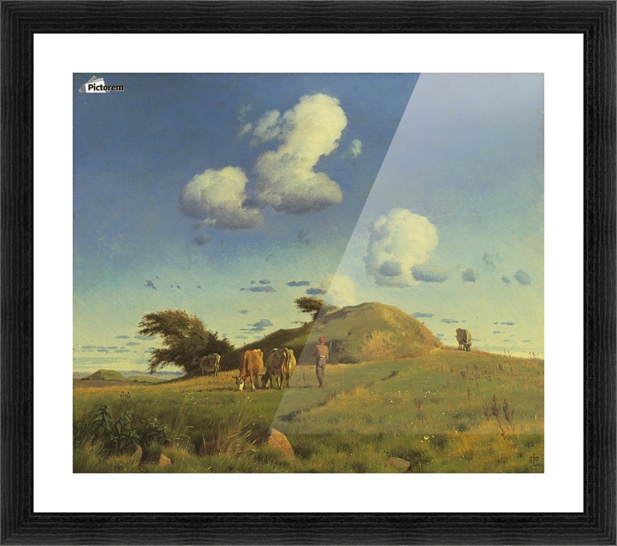 Hankehoj Picture Frame print