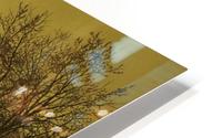 A Yorkshire home HD Metal print