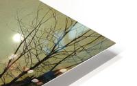 Old Chelsea HD Metal print