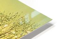 Golden Twilight HD Metal print