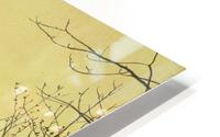 Autumn Gold HD Metal print