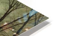 Silvery Moonlight HD Metal print