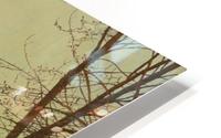 Leeds HD Metal print