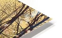 The Sere and Yellow Leaf HD Metal print