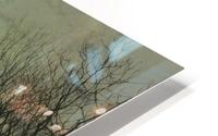 The tryst HD Metal print