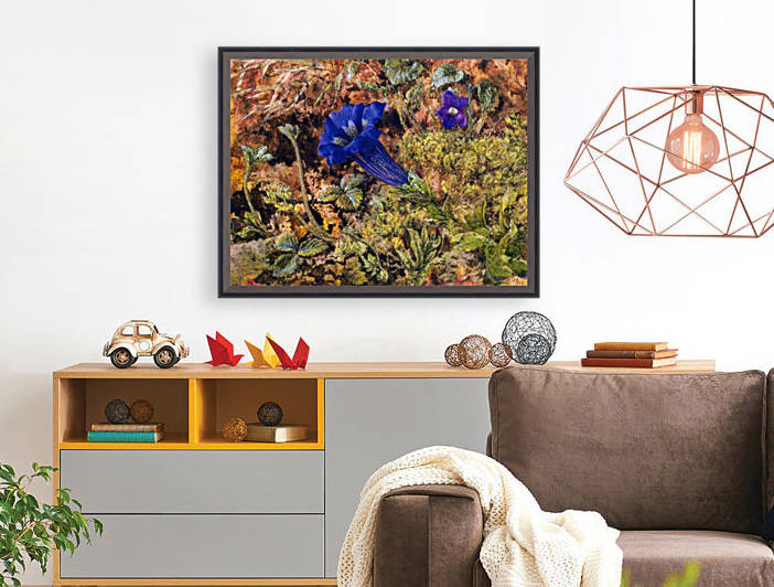 Gentian 1862 Reproduction