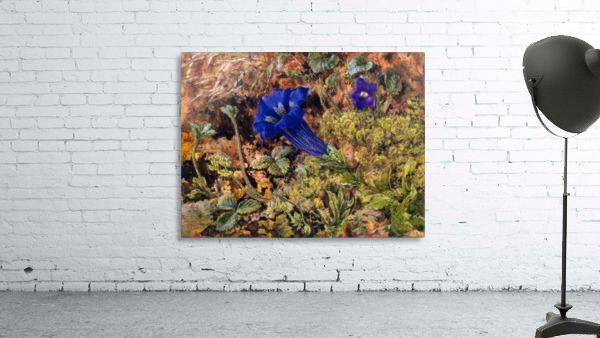 Gentian 1862 Wall Preview