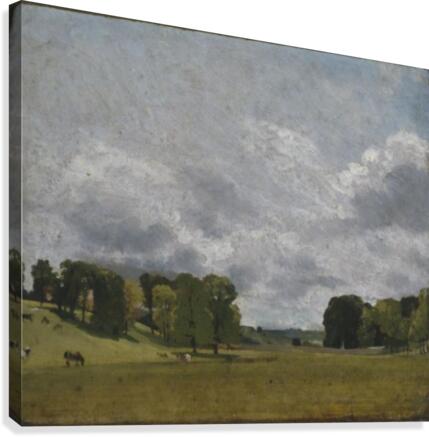 View at Epsom Canvas Print
