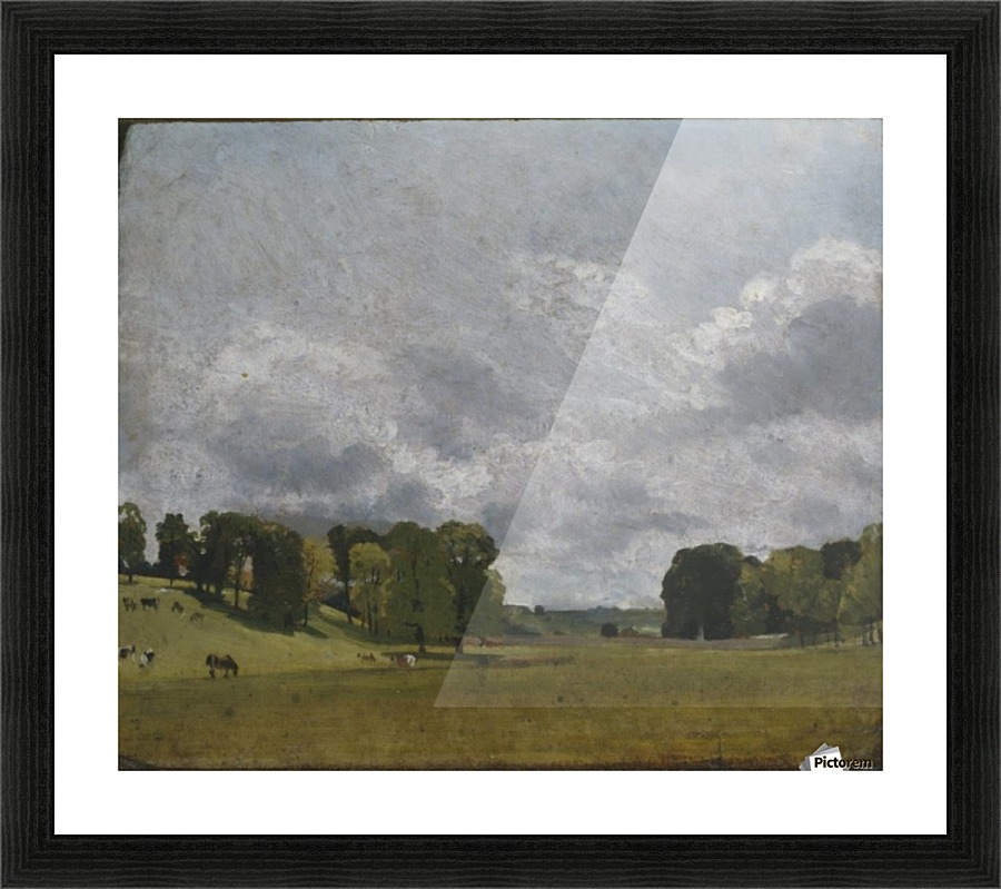 View at Epsom Picture Frame print