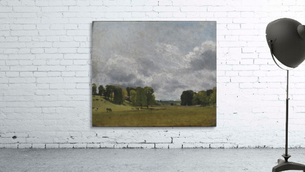 View at Epsom Wall Preview