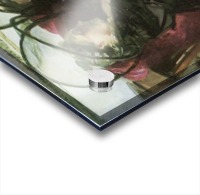 Mosquito nets Acrylic print