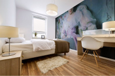 Lady Agnew Mural print