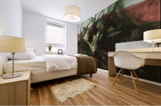 Mosquito nets Mural print