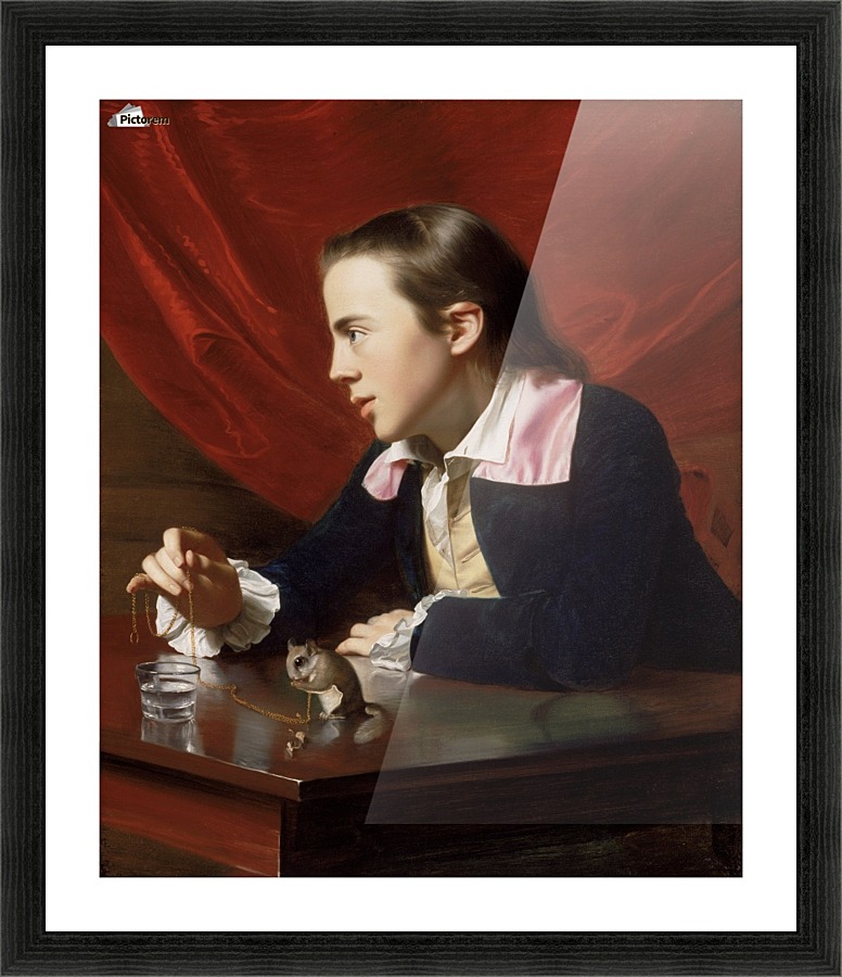 A boy with a squirrel Picture Frame print