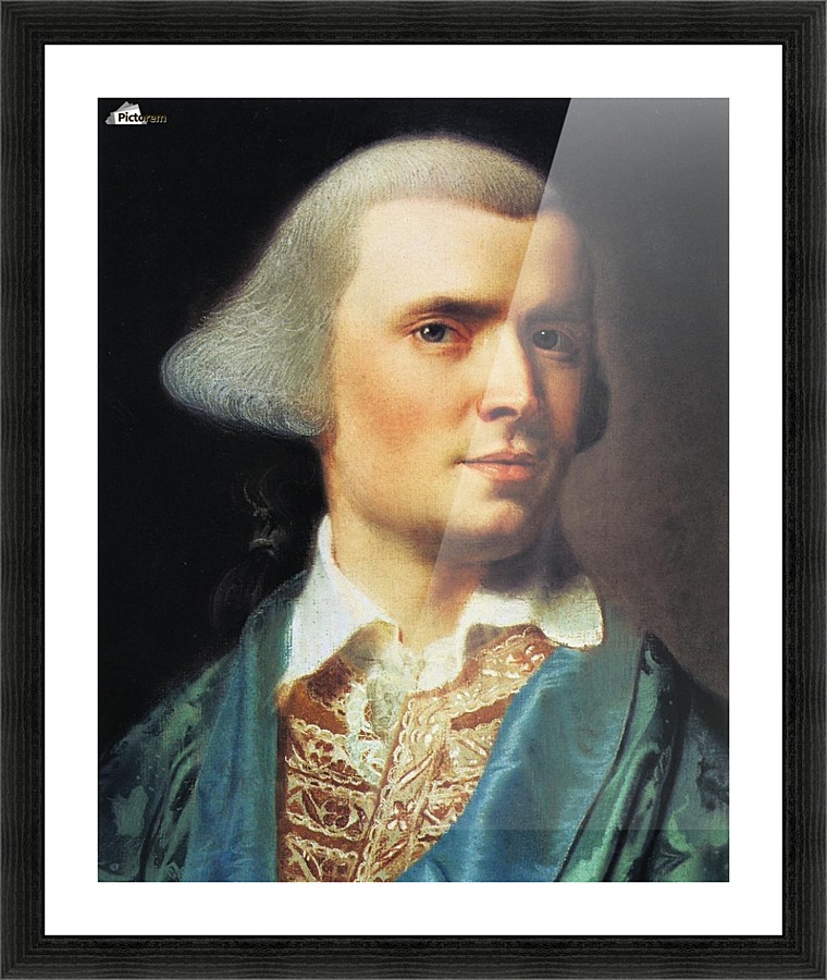 Self Portrait 1769 Picture Frame print