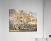 An old tree Acrylic Print