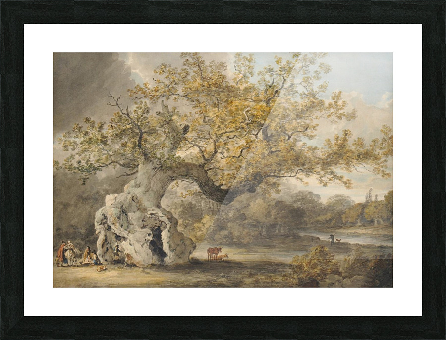 An old tree Picture Frame print