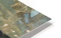 Moonlit Shore HD Metal print
