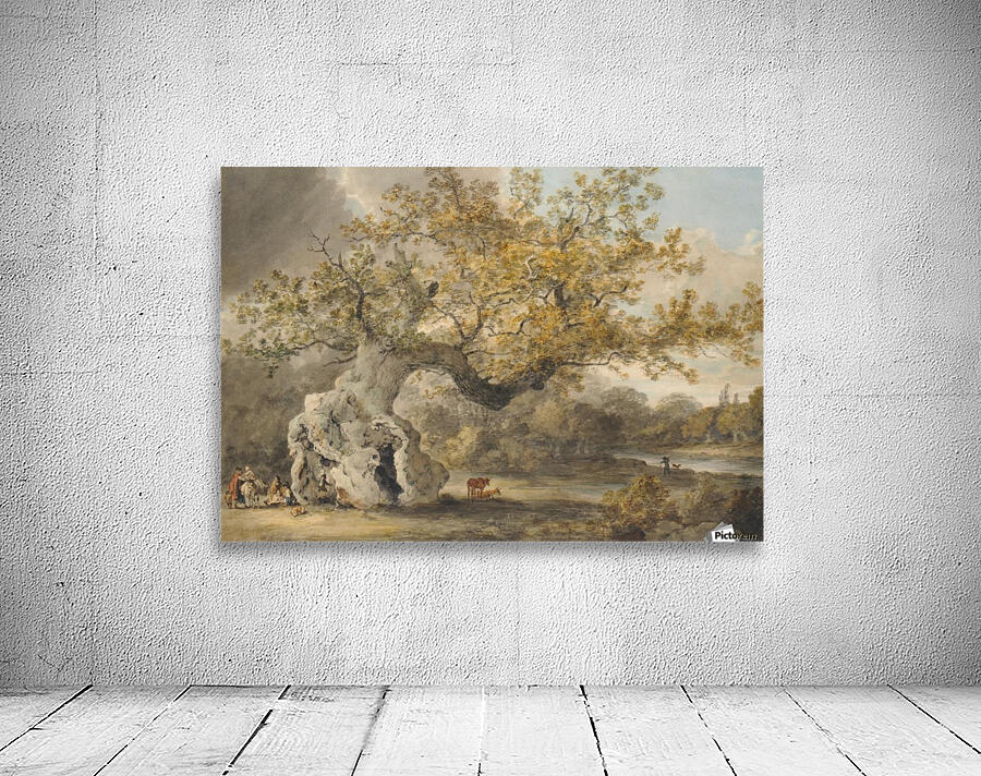 An old tree Wall Preview