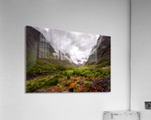 Fiordland Valley Acrylic Print