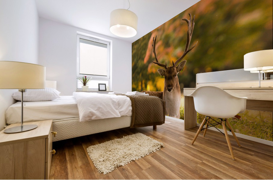 Hello Deer Mural print